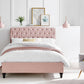 Rosa Size Double pink Bed